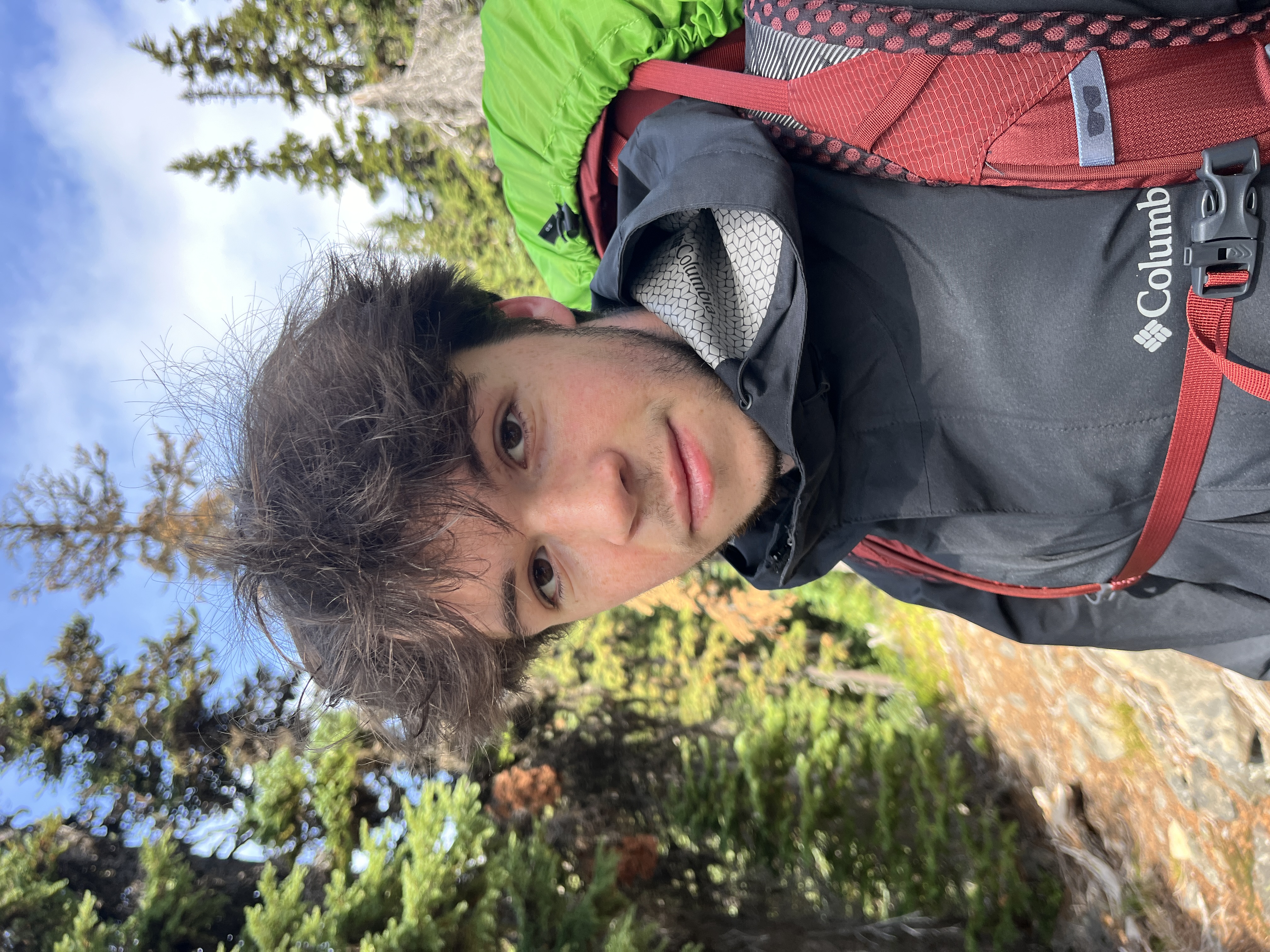 DESCRIPTION