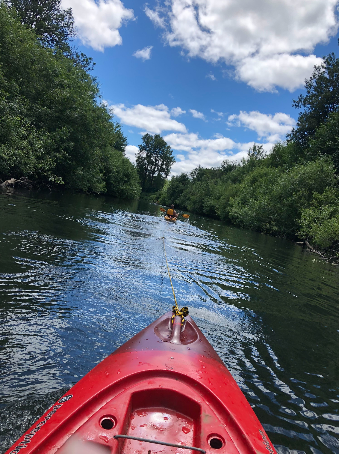 One of our Assistant Researchers, Lindsay, enjoying the view on the Willamette River in Corvallis.