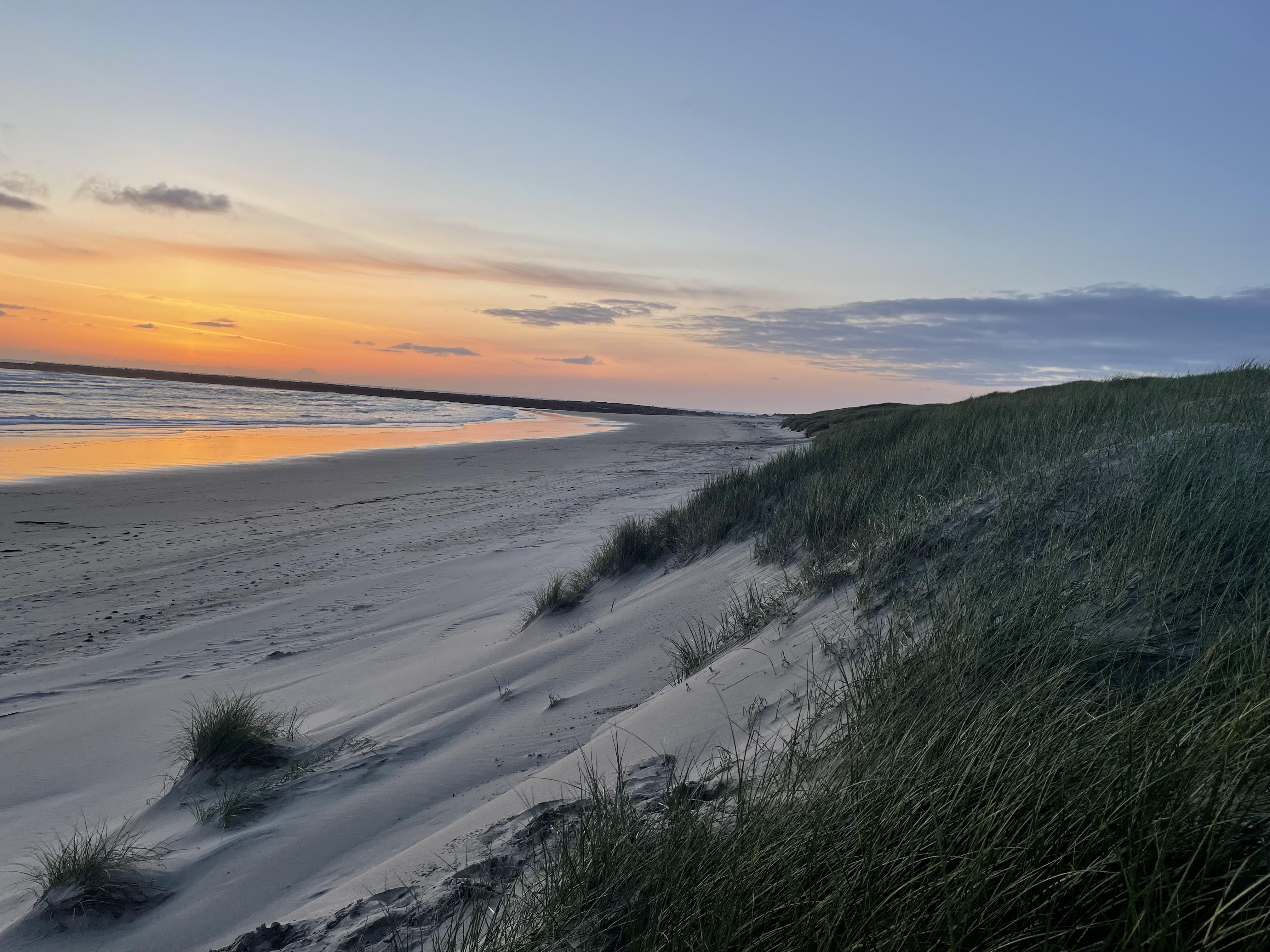 A picture of a beach and dunes with bright orange and pink sunset in the sky reflectin off the ocean.