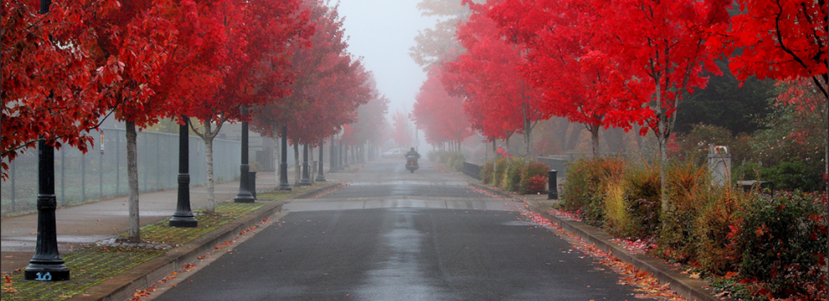 Oregon State University Campus on rainy day